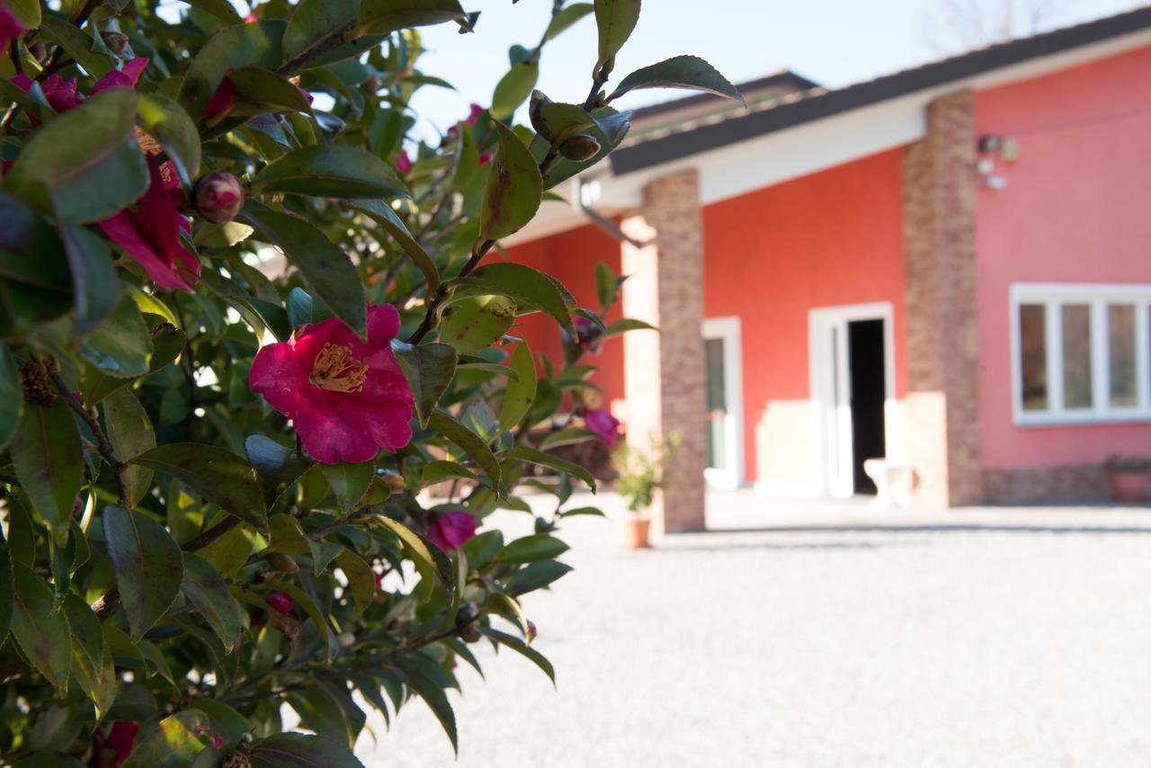 Tenuta La Vigna * Malgesso